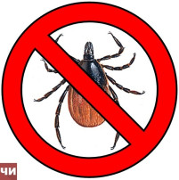 Клещам стоп! Клещам стоп!.